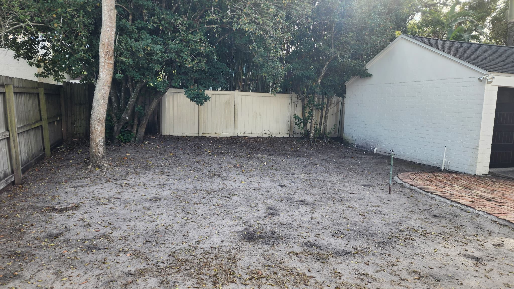 Before Photo