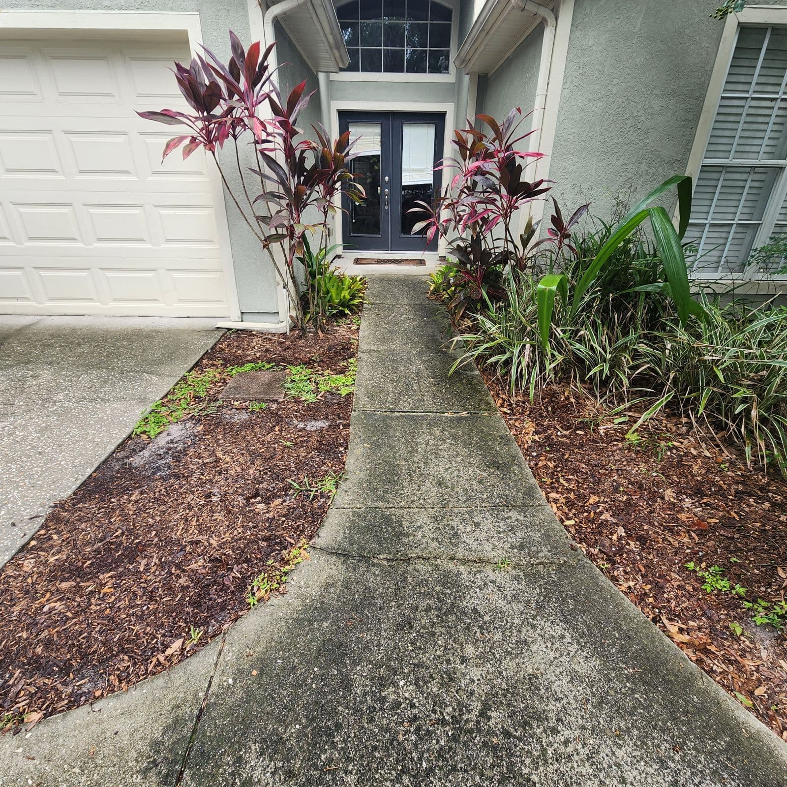 Before Photo