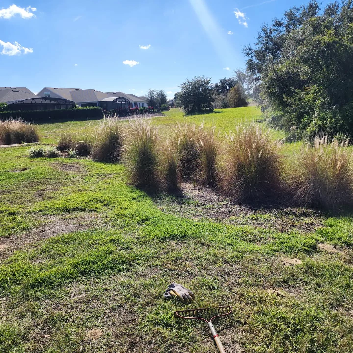 Before: landscape design project 08