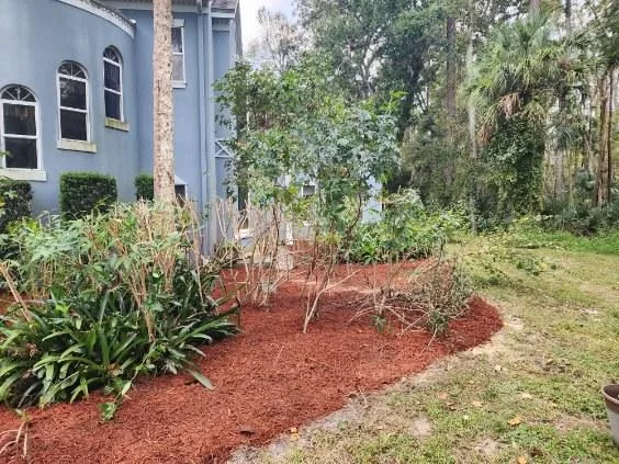 Vacant Lot Restoration