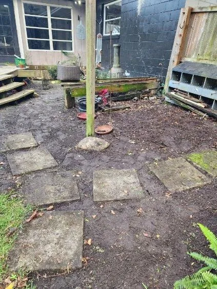 Neglected Yard Revival