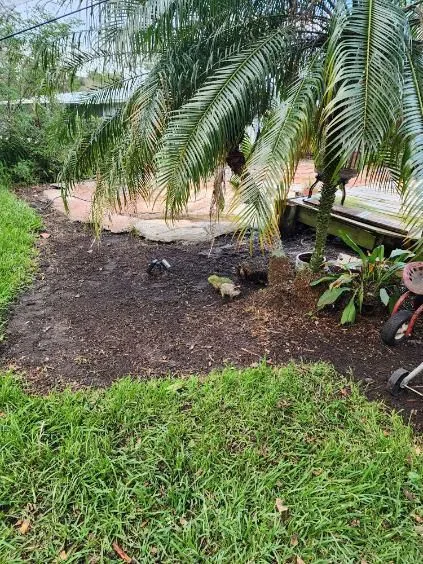 Quarterly Maintenance Clean