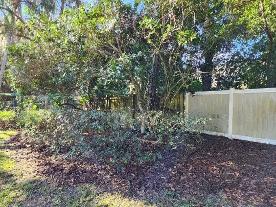 Annual Spring Cleanup