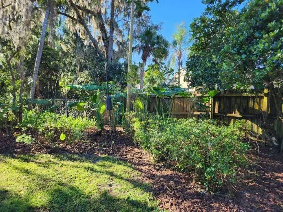 Shrub & Brush Removal