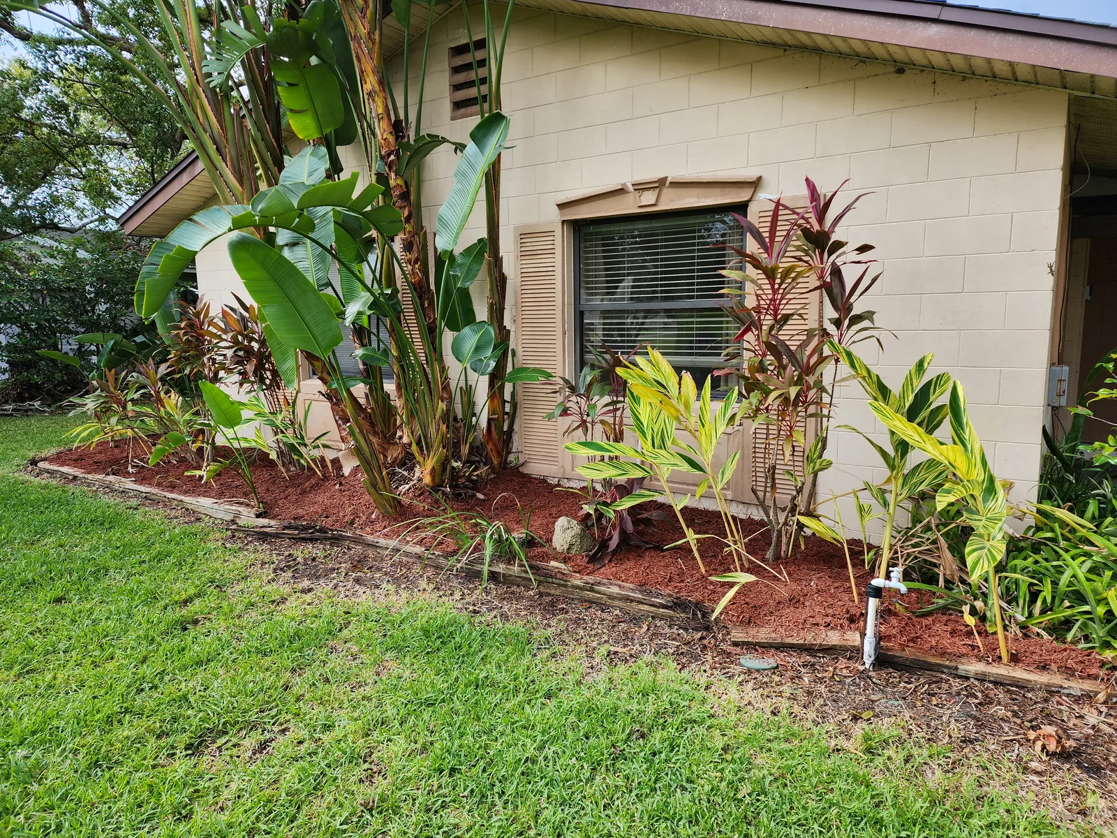 Driveway & Border Cleanup
