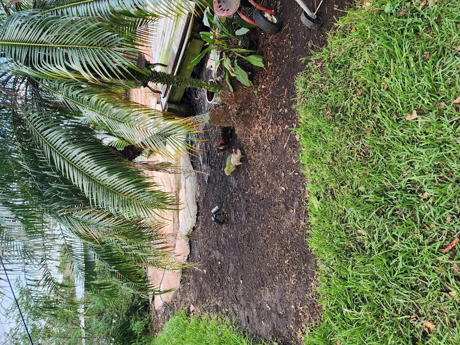 Comprehensive Clean Up