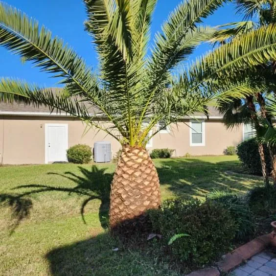 Debris Removal & Clean Up