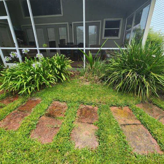 Complete Yard Restoration