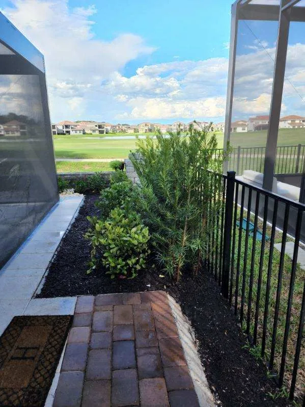 Poolside Landscaping