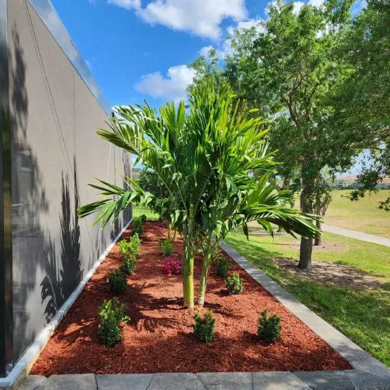 Contemporary Yard Design