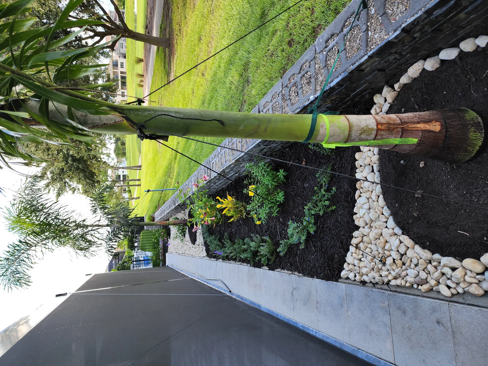 Residential Garden Design