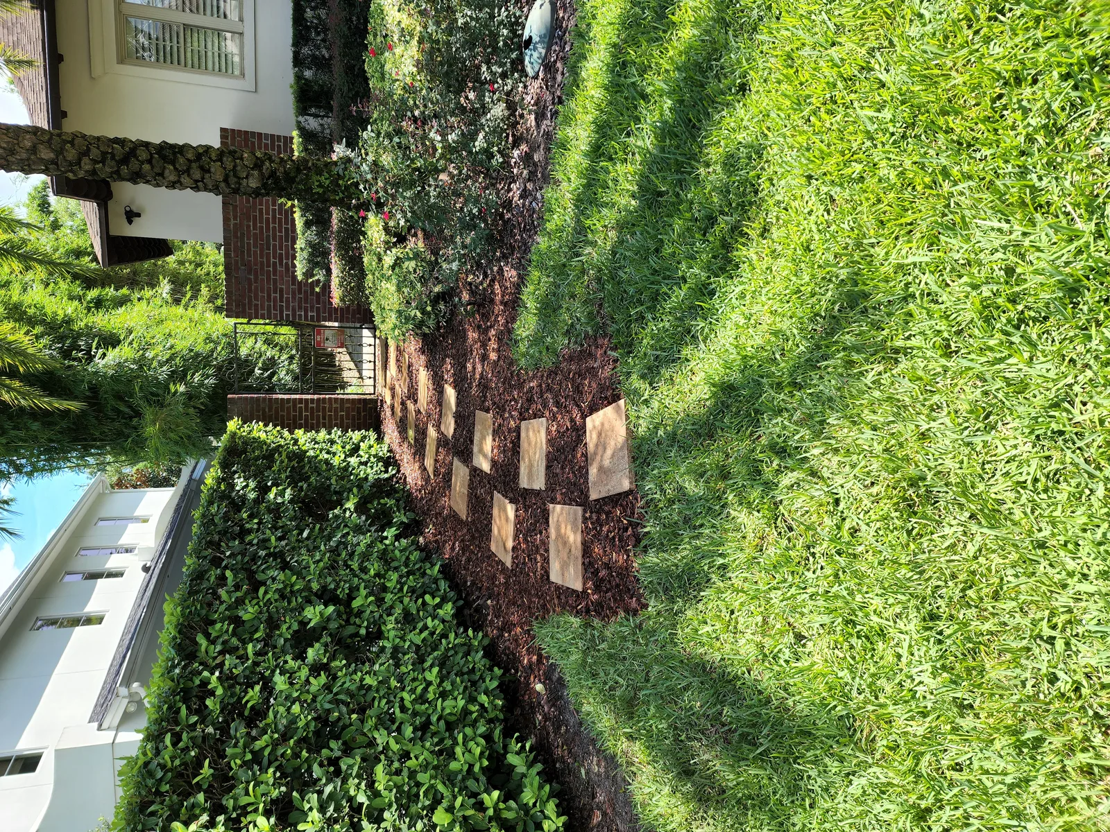 Patio & Garden Design