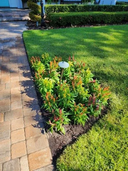 Custom Landscape Layout