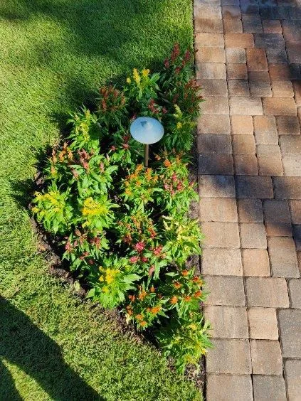 Garden & Patio Design