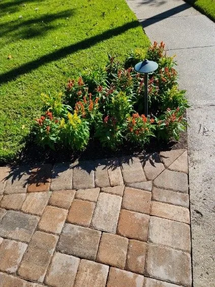 Residential Landscape Overhaul