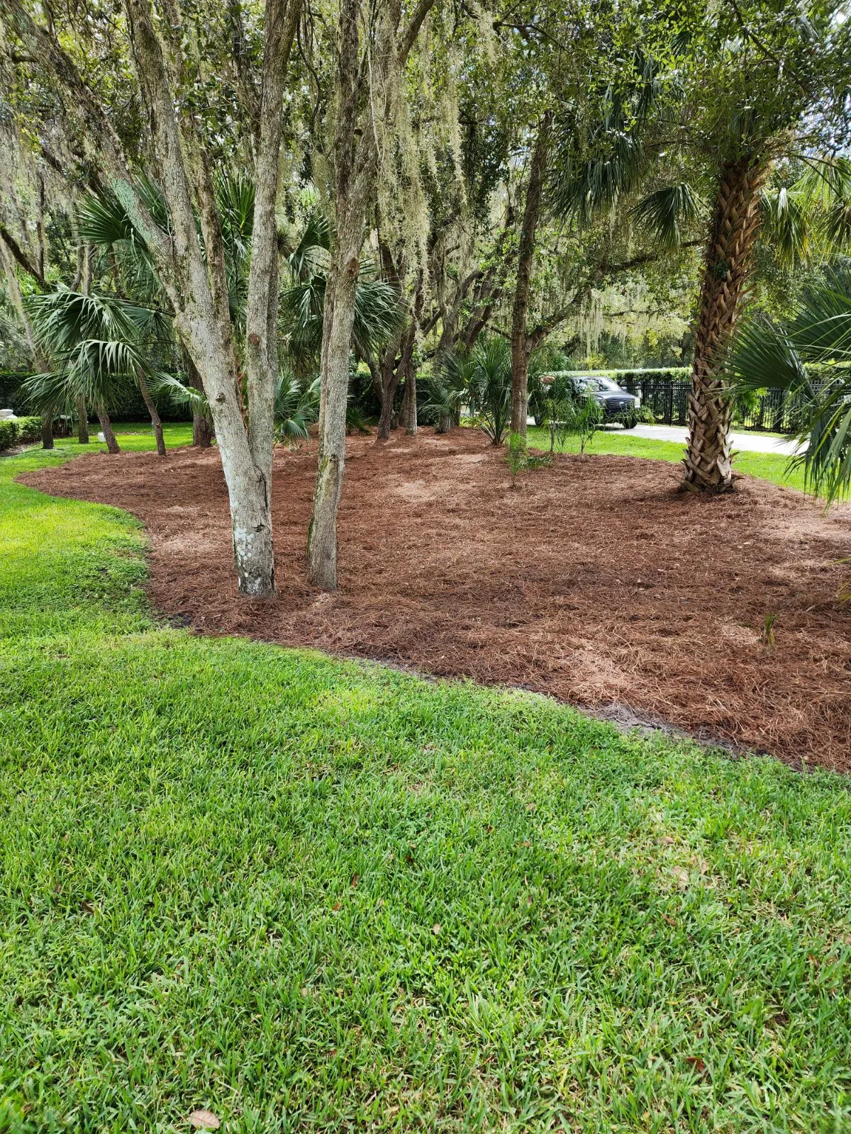 Mulch Border Design