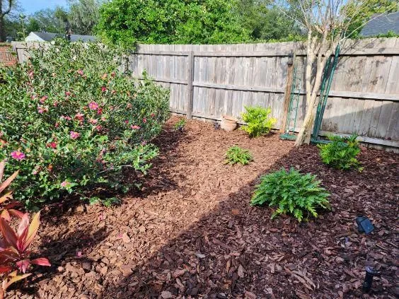 Tropical Bed Mulching